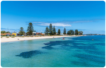 a beach shore on perth's coast with trees and houses on the foreshore. there are people swimming in the beach.