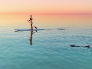 Picture of a woman on a paddleboard with a dolphin swimming nearby