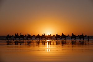 Picture of a camel train at sunset on a beach